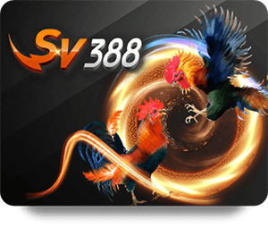 Beginner’s Guide to 33WIN Sòng Bạc Vàng Online Games